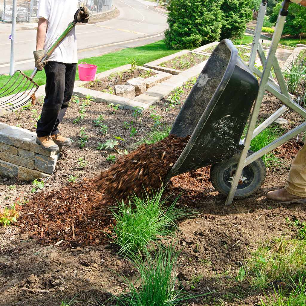 landscaping